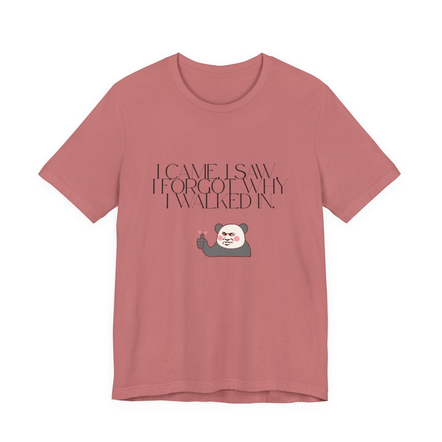 Funny Panda Quote Tee - I Came I Saw I Forgot, Unisex T-Shirt, Gift for Him/Her, Humor Shirt, Cute Animal Tee