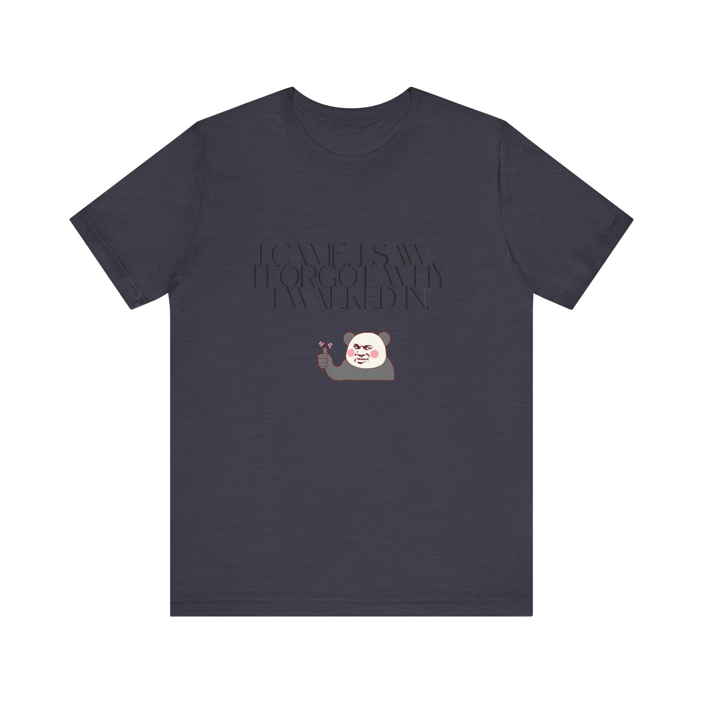 Funny Panda Quote Tee - I Came I Saw I Forgot, Unisex T-Shirt, Gift for Him/Her, Humor Shirt, Cute Animal Tee
