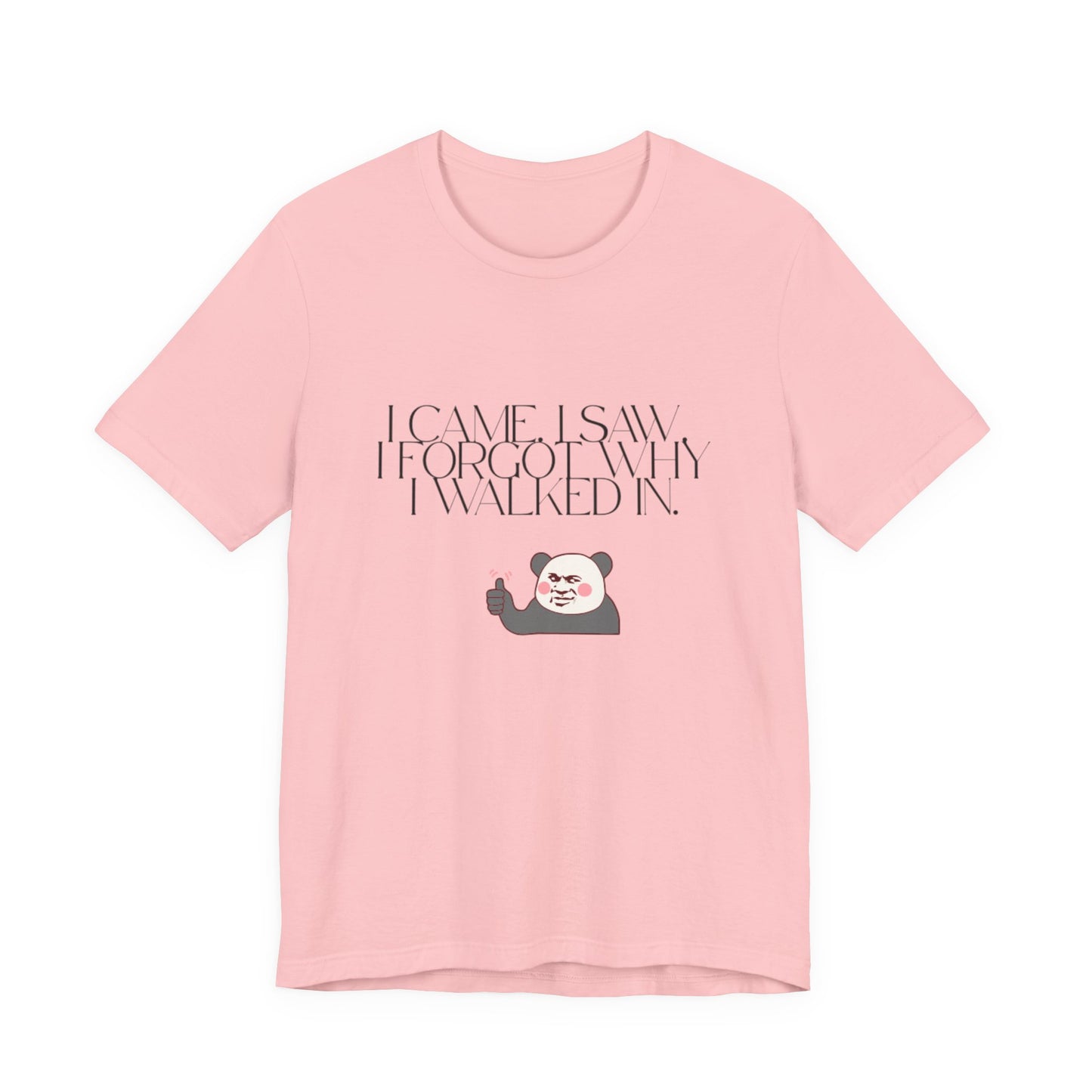 Funny Panda Quote Tee - I Came I Saw I Forgot, Unisex T-Shirt, Gift for Him/Her, Humor Shirt, Cute Animal Tee