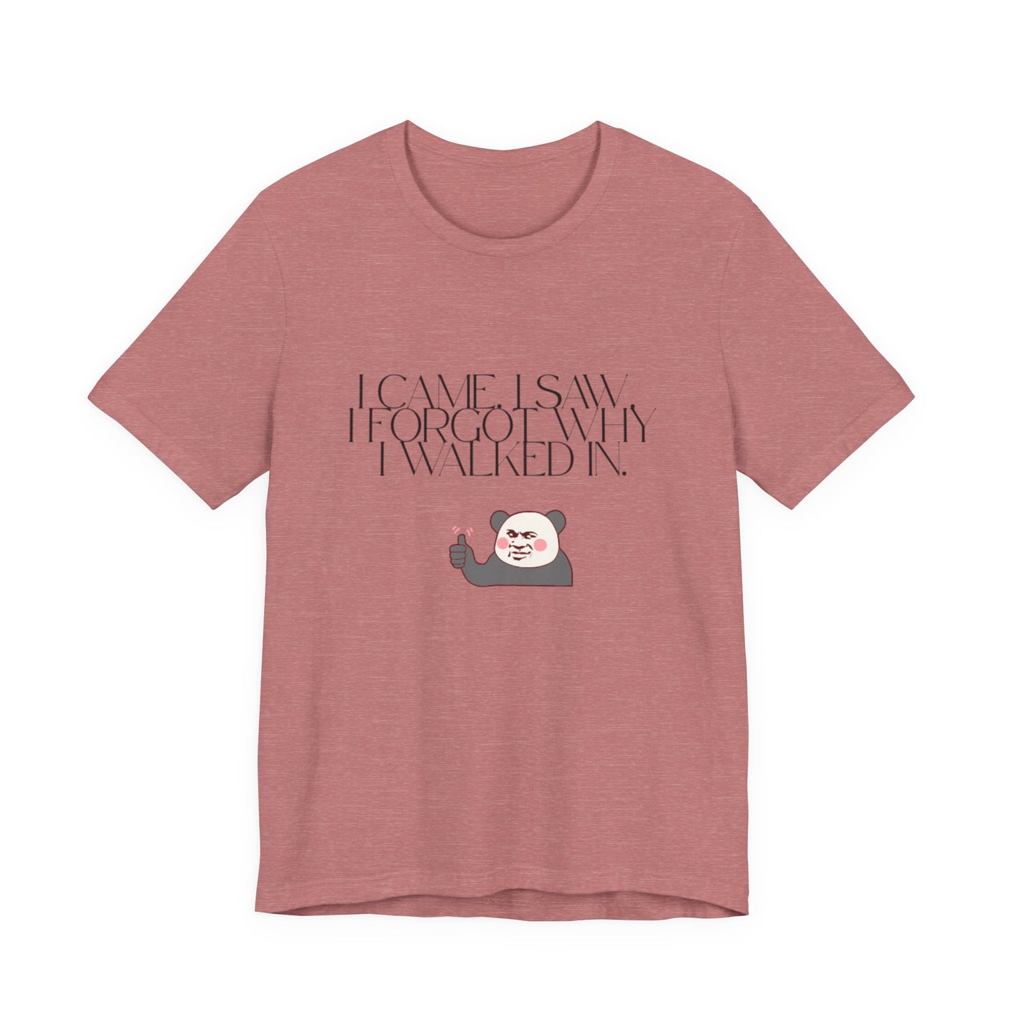Funny Panda Quote Tee - I Came I Saw I Forgot, Unisex T-Shirt, Gift for Him/Her, Humor Shirt, Cute Animal Tee