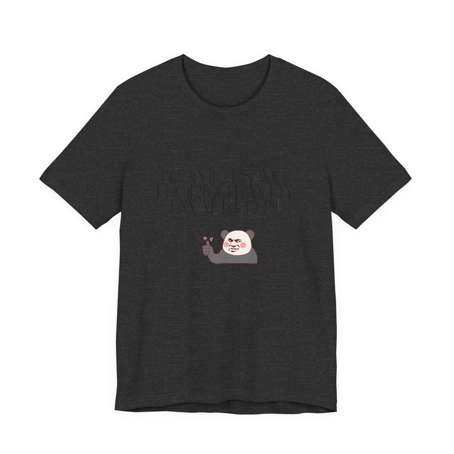Funny Panda Quote Tee - I Came I Saw I Forgot, Unisex T-Shirt, Gift for Him/Her, Humor Shirt, Cute Animal Tee