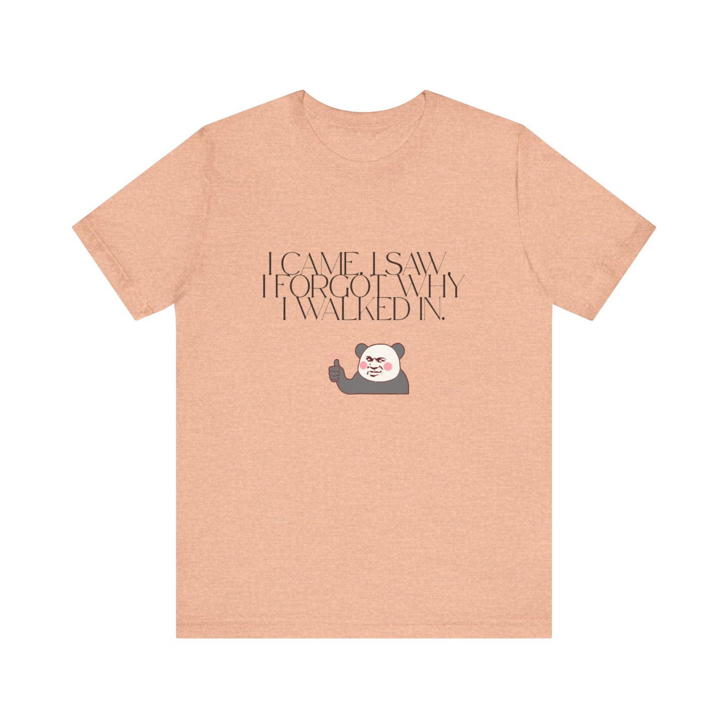 Funny Panda Quote Tee - I Came I Saw I Forgot, Unisex T-Shirt, Gift for Him/Her, Humor Shirt, Cute Animal Tee
