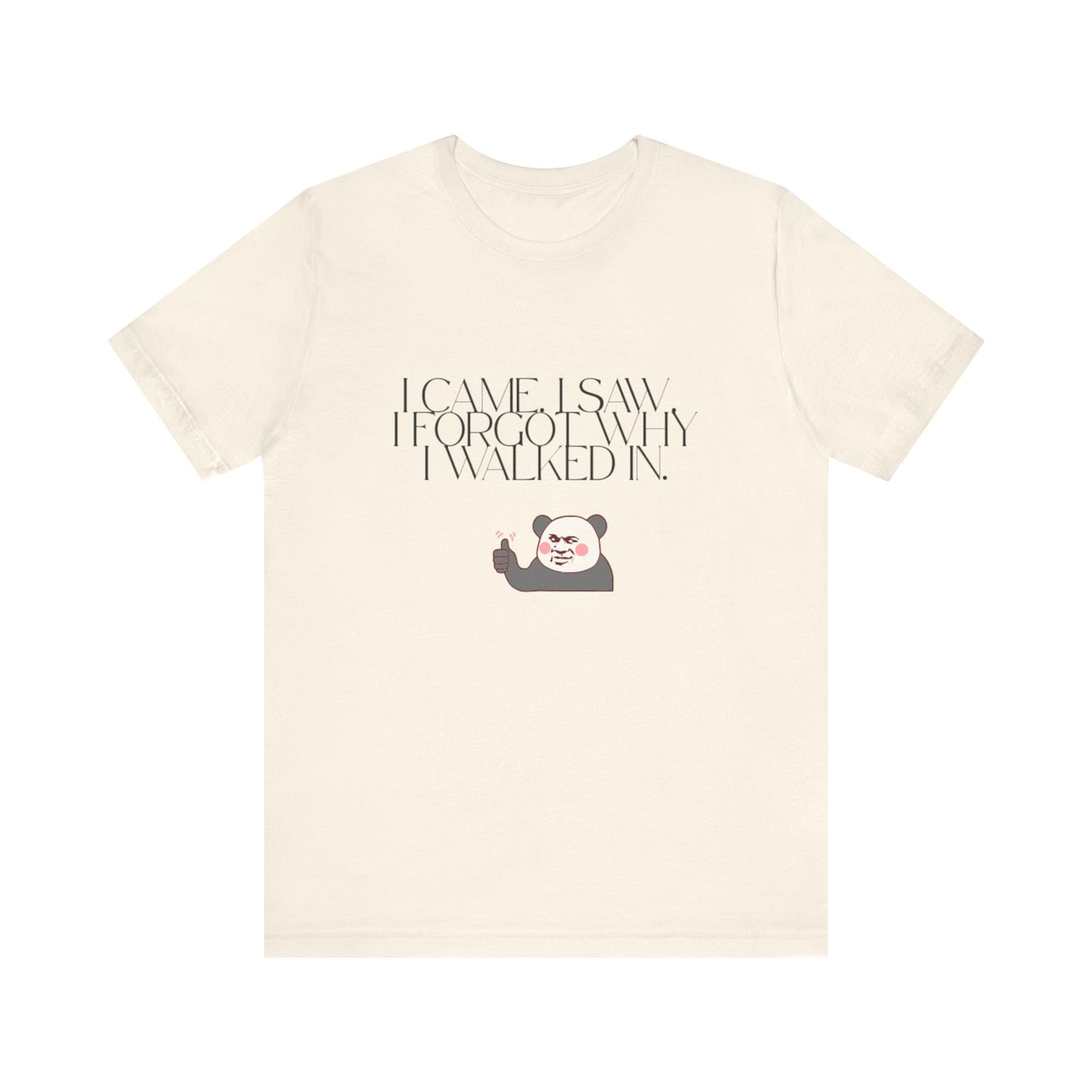 Funny Panda Quote Tee - I Came I Saw I Forgot, Unisex T-Shirt, Gift for Him/Her, Humor Shirt, Cute Animal Tee