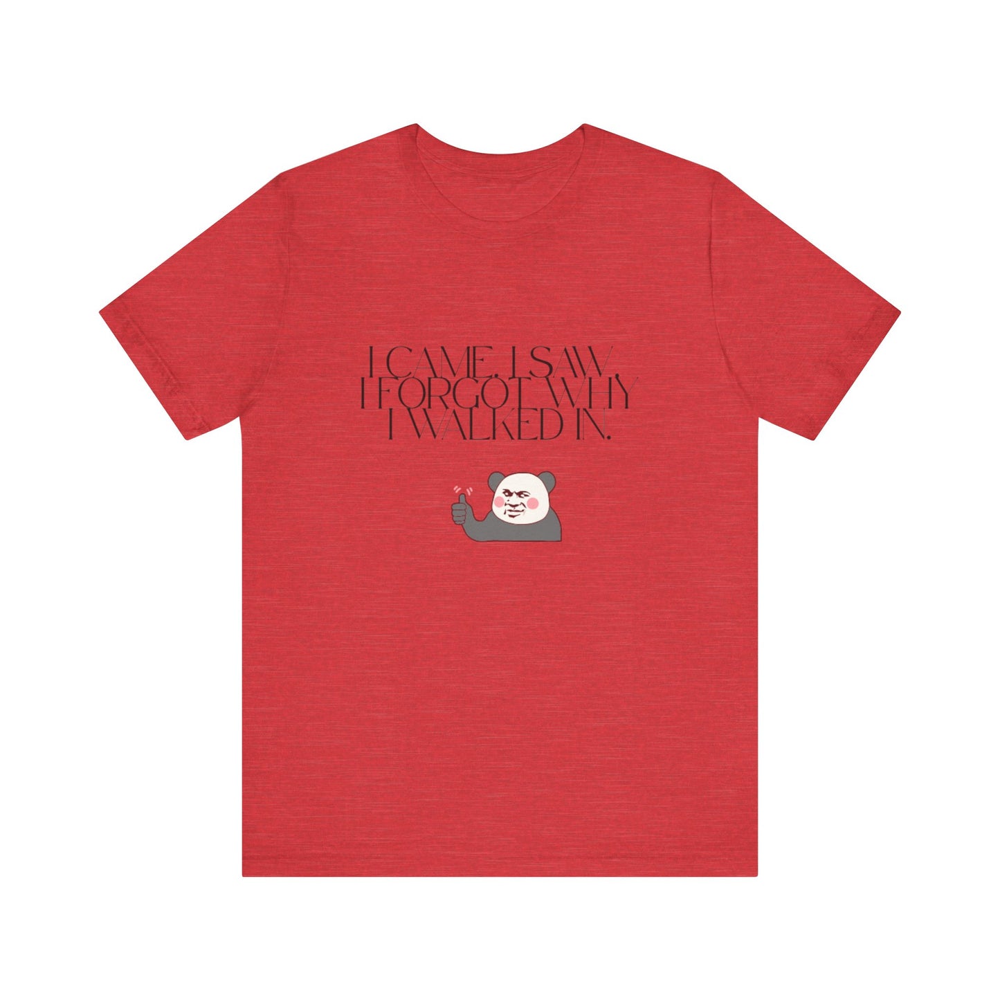 Funny Panda Quote Tee - I Came I Saw I Forgot, Unisex T-Shirt, Gift for Him/Her, Humor Shirt, Cute Animal Tee