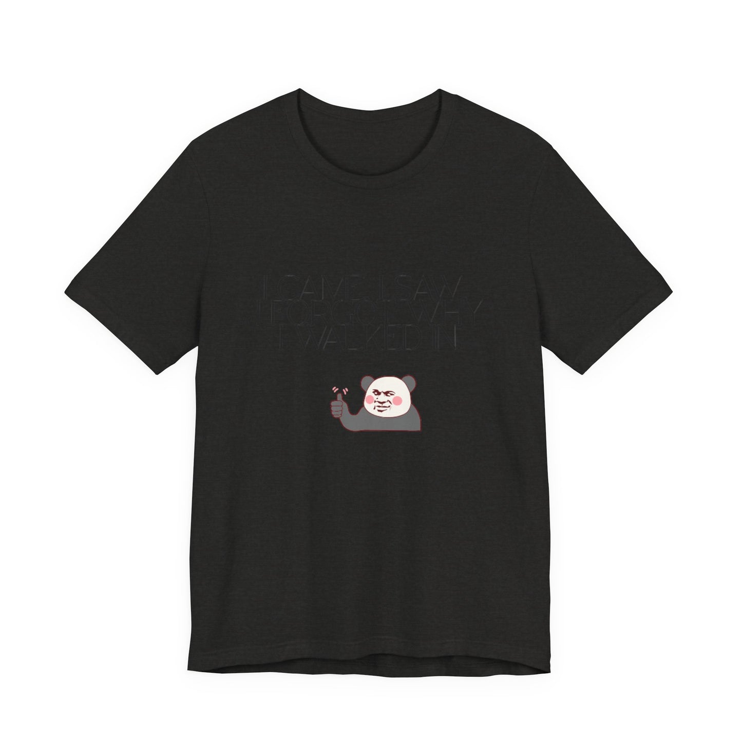 Funny Panda Quote Tee - I Came I Saw I Forgot, Unisex T-Shirt, Gift for Him/Her, Humor Shirt, Cute Animal Tee