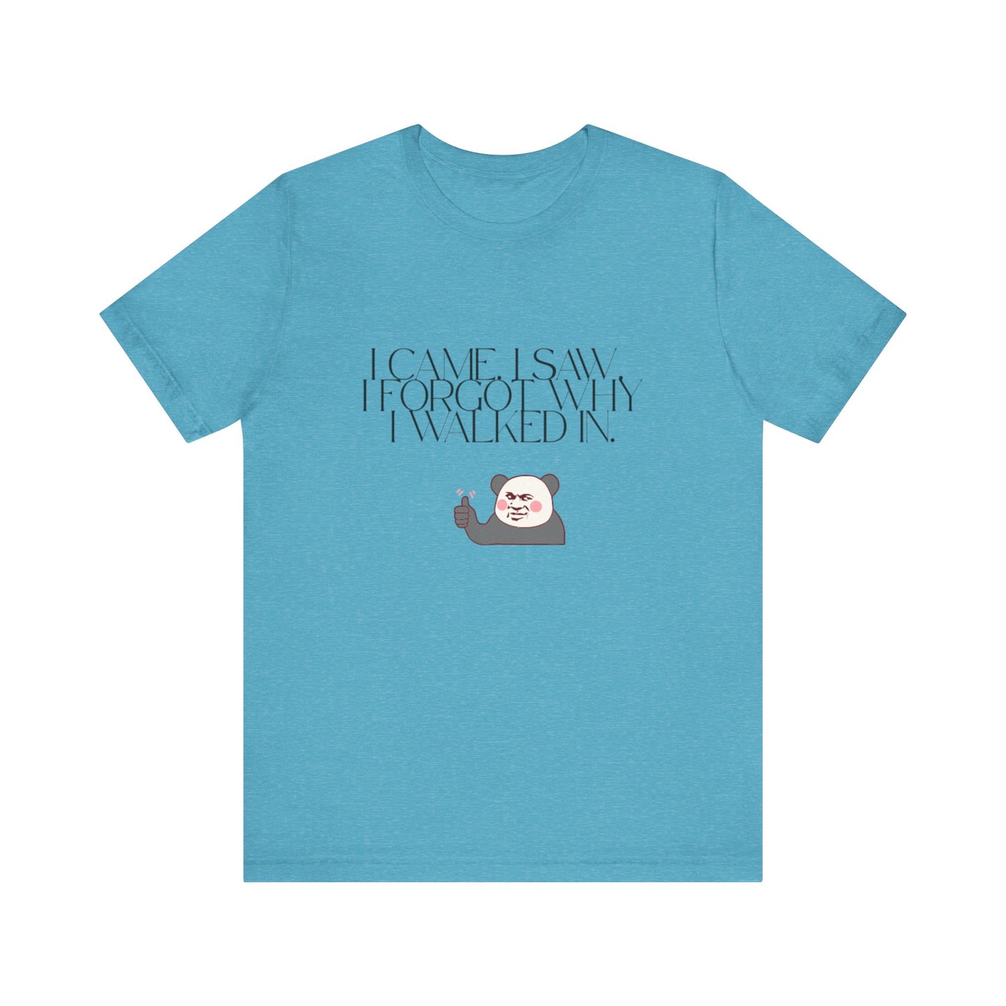 Funny Panda Quote Tee - I Came I Saw I Forgot, Unisex T-Shirt, Gift for Him/Her, Humor Shirt, Cute Animal Tee