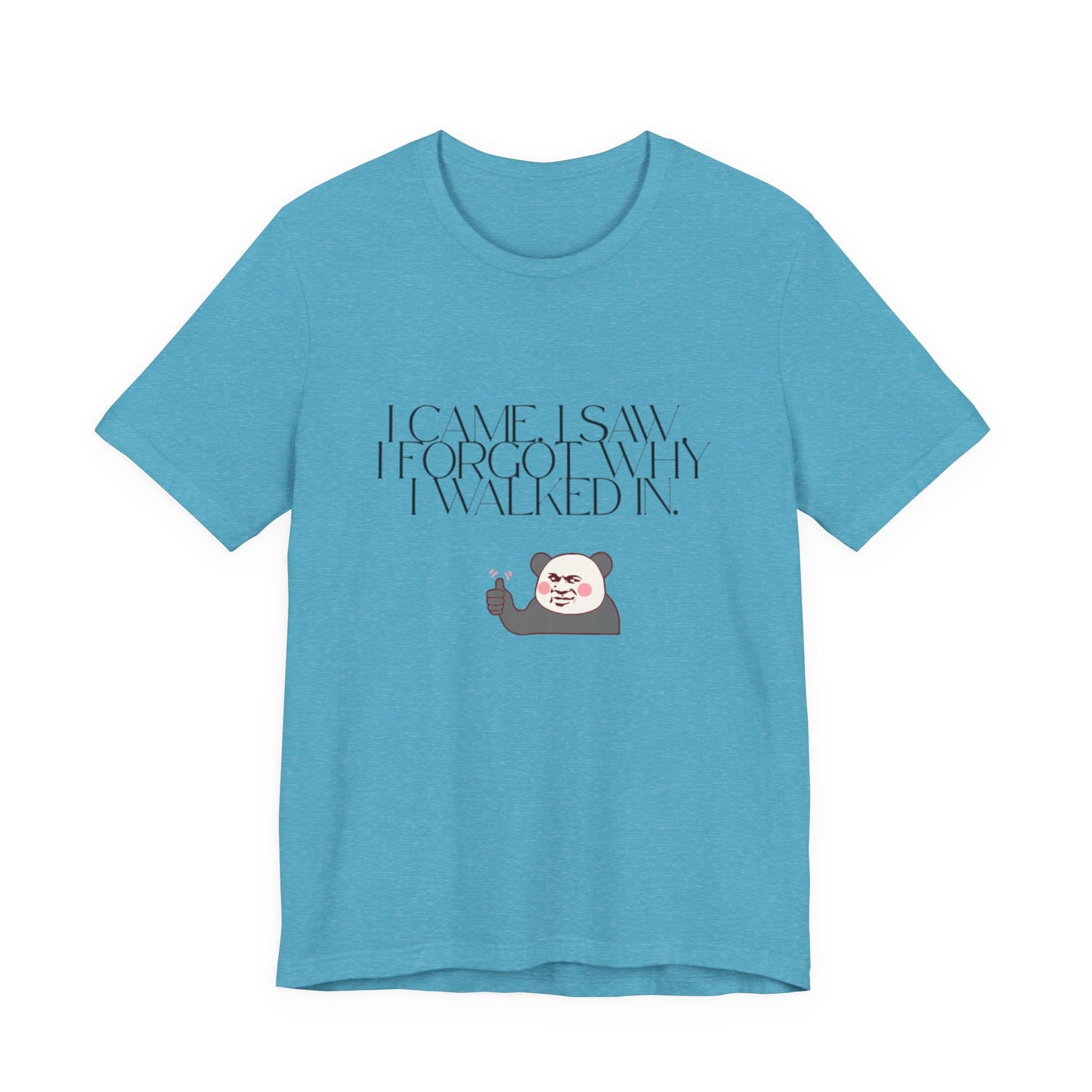 Funny Panda Quote Tee - I Came I Saw I Forgot, Unisex T-Shirt, Gift for Him/Her, Humor Shirt, Cute Animal Tee