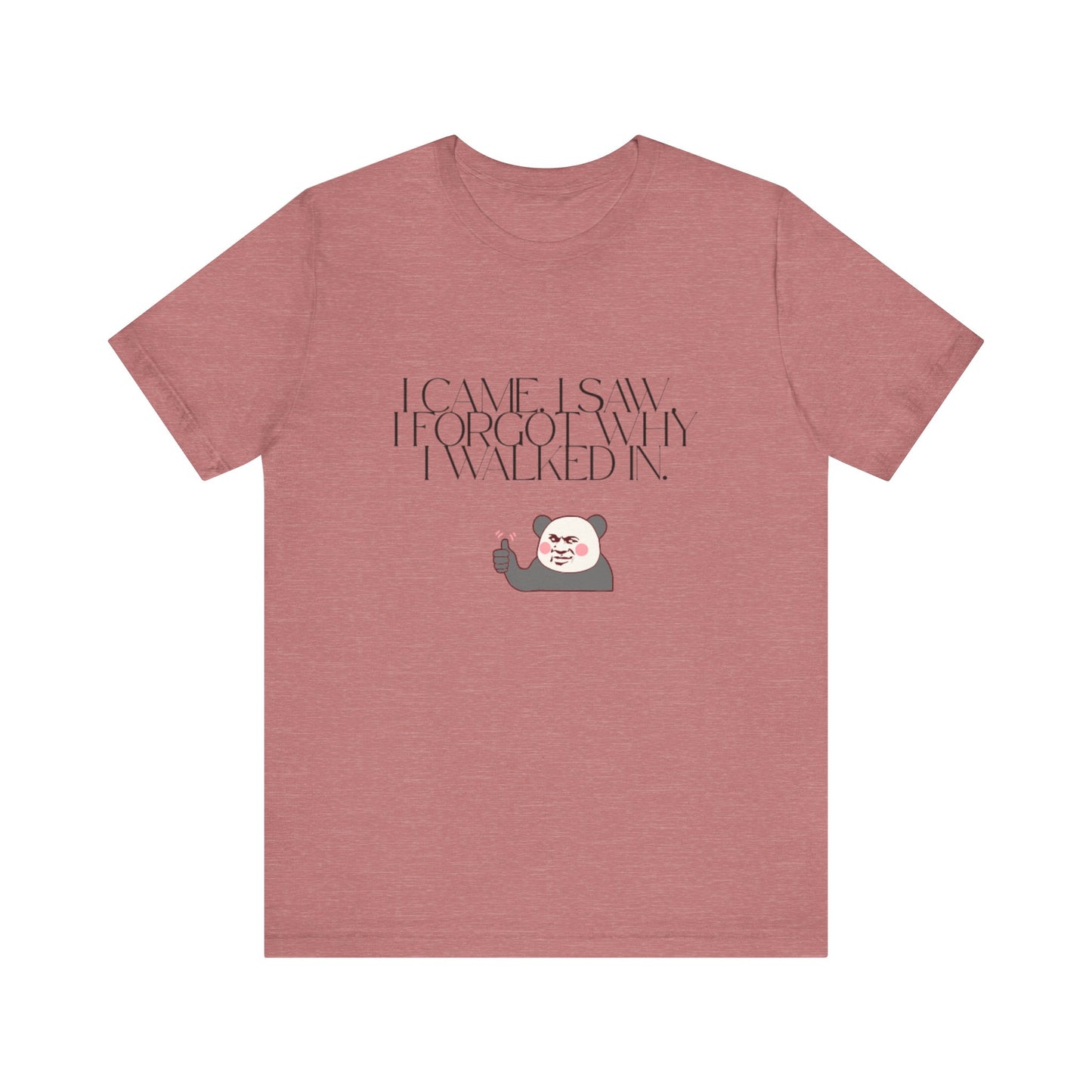 Funny Panda Quote Tee - I Came I Saw I Forgot, Unisex T-Shirt, Gift for Him/Her, Humor Shirt, Cute Animal Tee