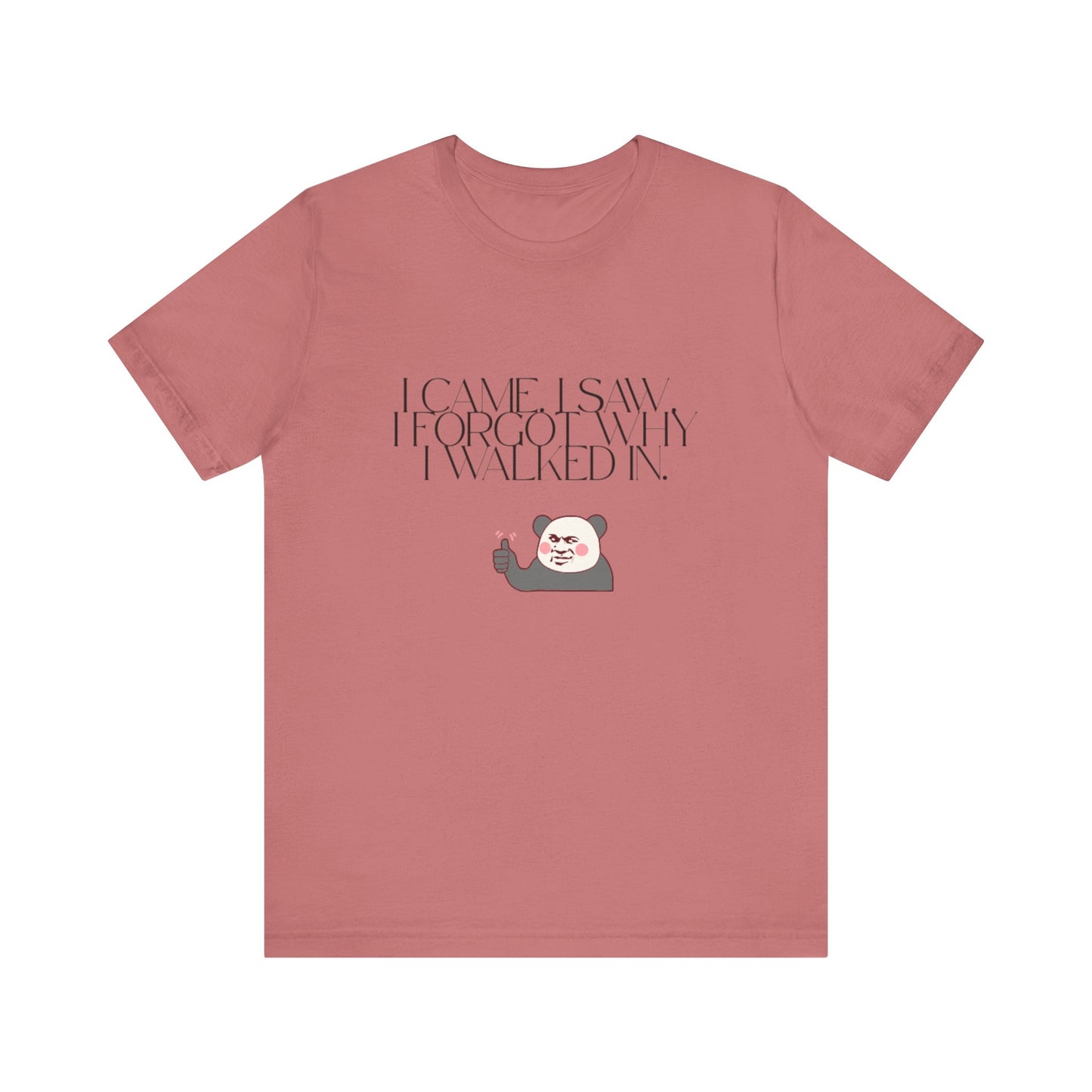 Funny Panda Quote Tee - I Came I Saw I Forgot, Unisex T-Shirt, Gift for Him/Her, Humor Shirt, Cute Animal Tee