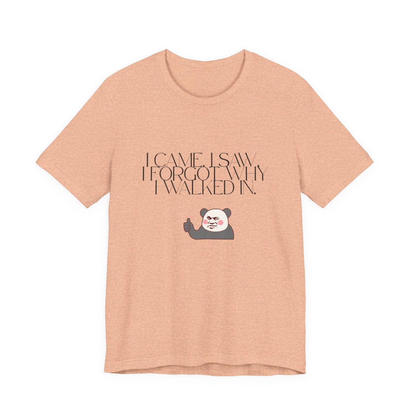 Funny Panda Quote Tee - I Came I Saw I Forgot, Unisex T-Shirt, Gift for Him/Her, Humor Shirt, Cute Animal Tee