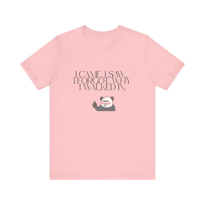 Funny Panda Quote Tee - I Came I Saw I Forgot, Unisex T-Shirt, Gift for Him/Her, Humor Shirt, Cute Animal Tee