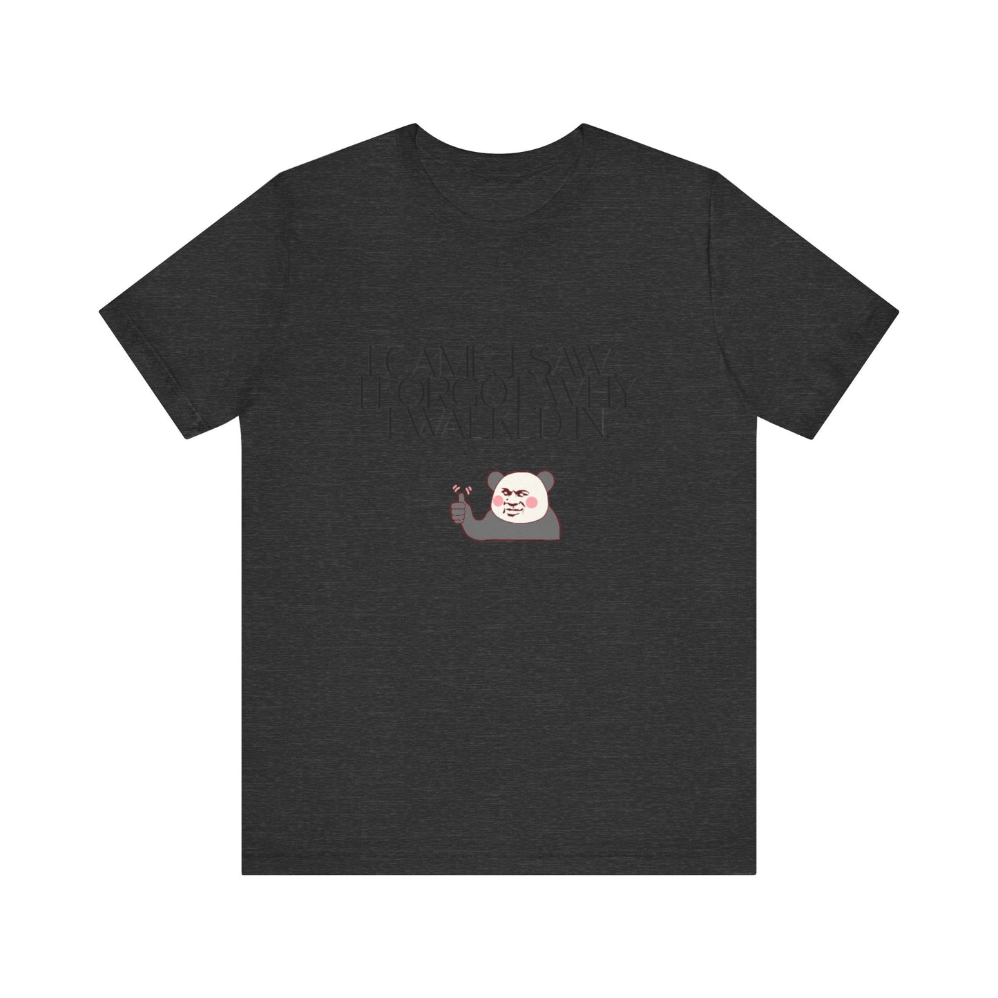 Funny Panda Quote Tee - I Came I Saw I Forgot, Unisex T-Shirt, Gift for Him/Her, Humor Shirt, Cute Animal Tee