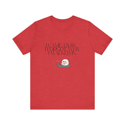 Funny Panda Quote Tee - I Came I Saw I Forgot, Unisex T-Shirt, Gift for Him/Her, Humor Shirt, Cute Animal Tee