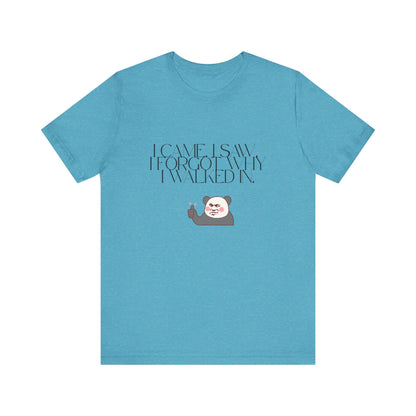 Funny Panda Quote Tee - I Came I Saw I Forgot, Unisex T-Shirt, Gift for Him/Her, Humor Shirt, Cute Animal Tee