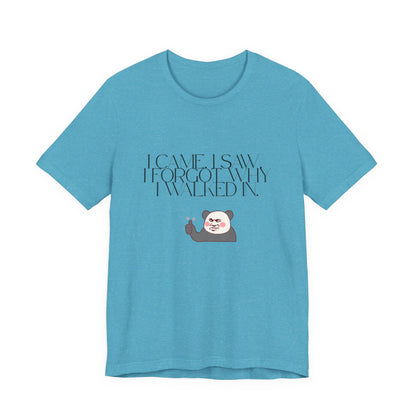 Funny Panda Quote Tee - I Came I Saw I Forgot, Unisex T-Shirt, Gift for Him/Her, Humor Shirt, Cute Animal Tee
