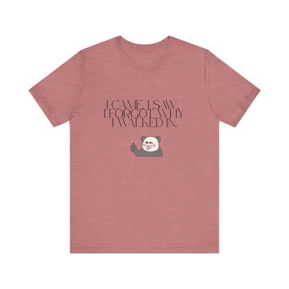 Funny Panda Quote Tee - I Came I Saw I Forgot, Unisex T-Shirt, Gift for Him/Her, Humor Shirt, Cute Animal Tee